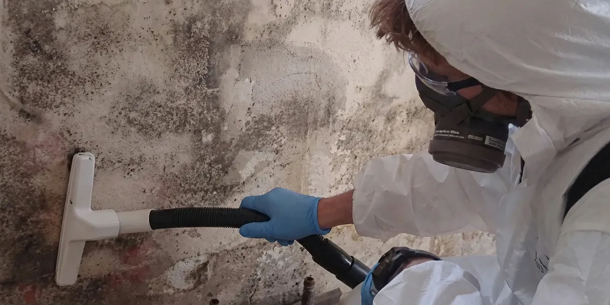 professional mold removal technician wearing protective equipment removing mold from a wall in Boston, MA